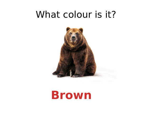 What colour is it? Brown