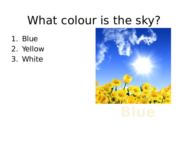 What colour is the sky? Blue Yellow White Blue