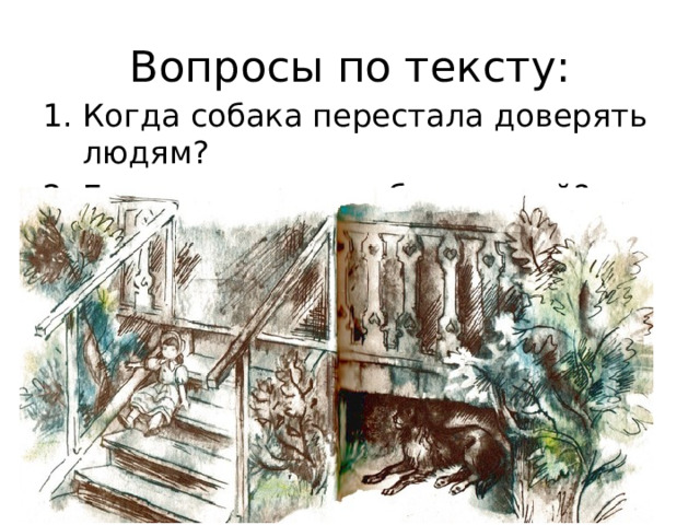 Вопросы по тексту: