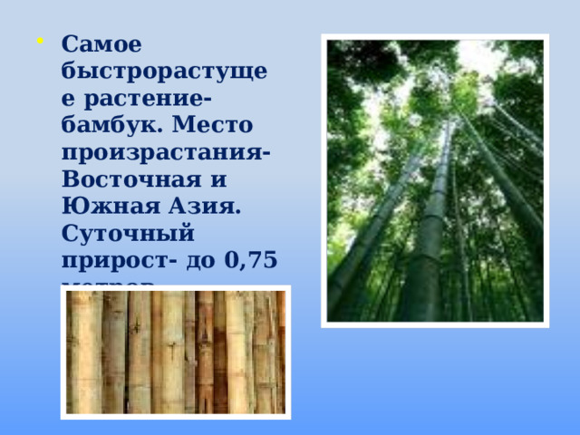 Самое быстрорастущее растение- бамбук. Место произрастания- Восточная и Южная Азия. Суточный прирост- до 0,75 метров.