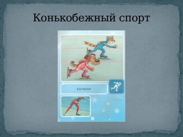 Конькобежный спорт