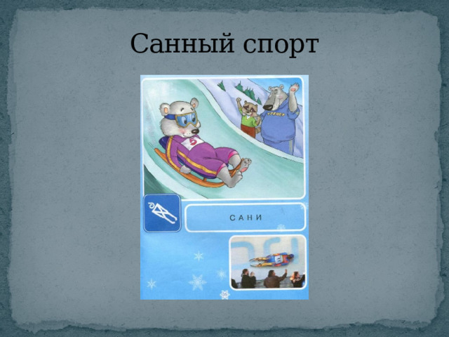 Санный спорт