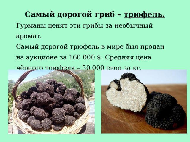 Самый дорогой гриб – трюфель. Гурманы ценят эти грибы за необычный аромат.  Самый дорогой трюфель в мире был продан на аукционе за 160 000 $. Средняя цена чёрного трюфеля – 50 000 евро за кг.