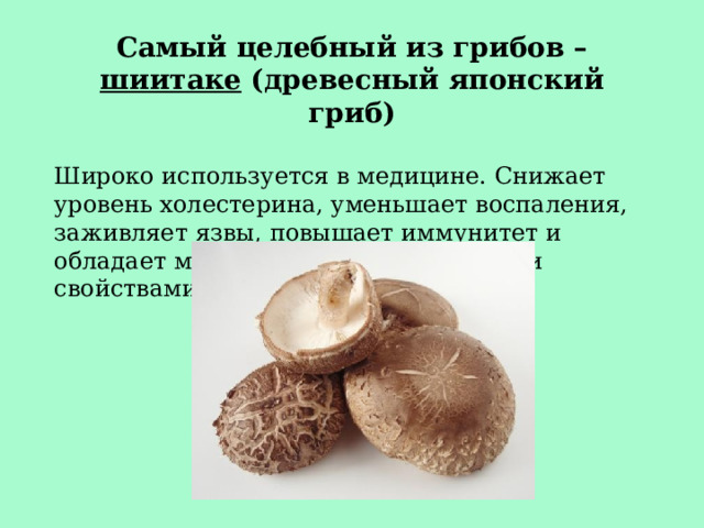 Самый целебный из грибов – шиитаке (древесный японский гриб)  Широко используется в медицине. Снижает уровень холестерина, уменьшает воспаления, заживляет язвы, повышает иммунитет и обладает многими другими полезными свойствами.