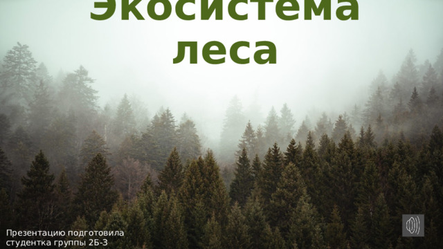 Экосистема леса Презентацию подготовила студентка группы 2Б-З Мельникова Ульяна Сергеевна