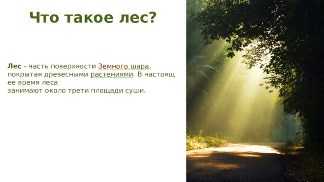 Что такое лес? Лес - часть поверхности  Земного  шара , покрытая древесными  растениями . В настоящее время леса занимают около трети площади суши. 