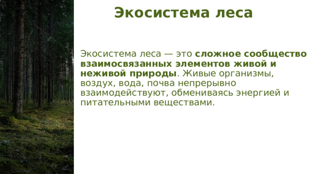 Экосистема леса Экосистема леса — это  сложное сообщество взаимосвязанных элементов живой и неживой природы . Живые организмы, воздух, вода, почва непрерывно взаимодействуют, обмениваясь энергией и питательными веществами.