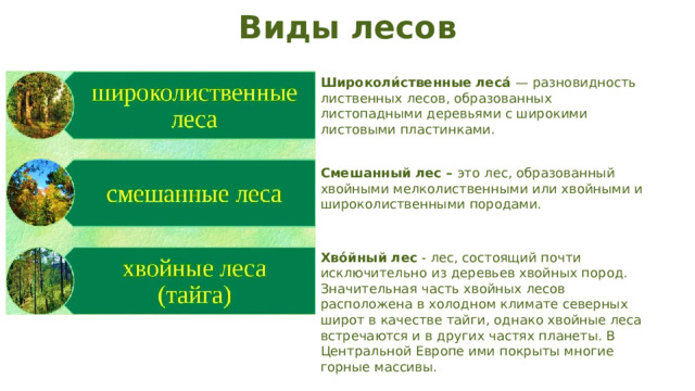 Виды лесов Широколи́ственные леса́ — разновидность лиственных лесов, образованных листопадными деревьями с широкими листовыми пластинками. Смешанный лес – это  лес, образованный хвойными мелколиственными или хвойными и широколиственными породами. Хво́йный лес  - лес, состоящий почти исключительно из деревьев хвойных пород. Значительная часть хвойных лесов расположена в холодном климате северных широт в качестве тайги, однако хвойные леса встречаются и в других частях планеты. В Центральной Европе ими покрыты многие горные массивы.  