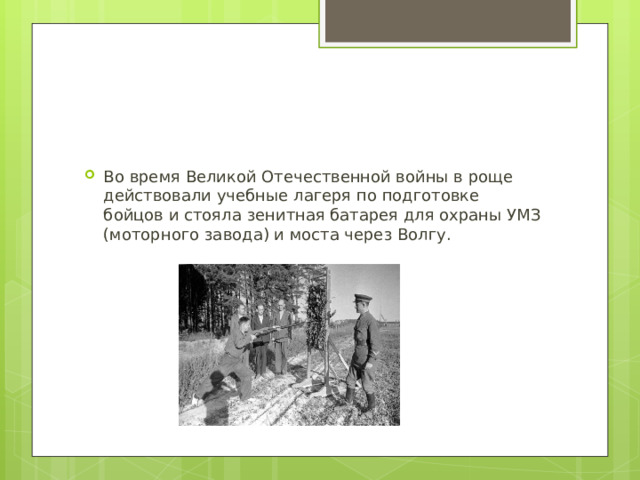 Во время Великой Отечественной войны в роще действовали учебные лагеря по подготовке бойцов и стояла зенитная батарея для охраны УМЗ (моторного завода) и моста через Волгу.