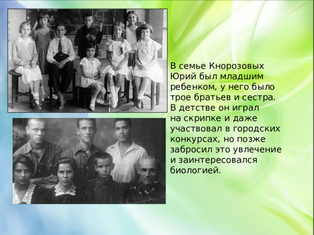 В семье Кнорозовых Юрий был младшим ребенком, у него было трое братьев и сестра. В детстве он играл на скрипке и даже участвовал в городских конкурсах, но позже забросил это увлечение и заинтересовался биологией.
