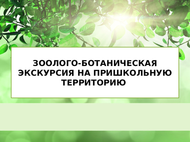 ЗООЛОГО-БОТАНИЧЕСКАЯ ЭКСКУРСИЯ НА ПРИШКОЛЬНУЮ ТЕРРИТОРИЮ   Оригинальные шаблоны для презентаций: https://presentation-creation.ru/powerpoint-templates.html  Бесплатно и без регистрации.