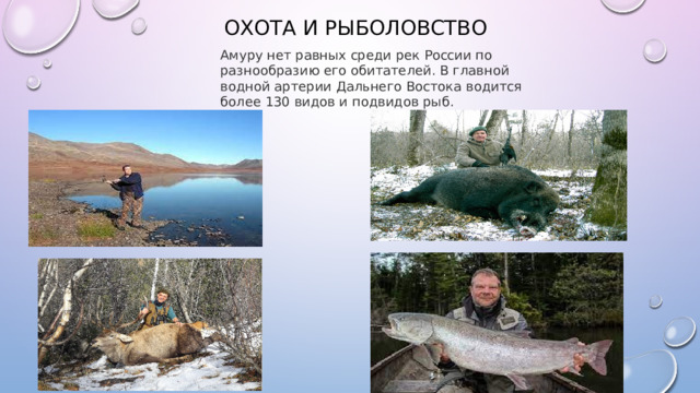 ОХОТА И РЫБОЛОВСТВО Амуру нет равных среди рек России по разнообразию его обитателей. В главной водной артерии Дальнего Востока водится более 130 видов и подвидов рыб.