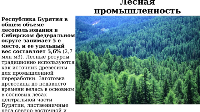 Лесная промышленность Республика Бурятия в общем объеме лесопользования в Сибирском федеральном округе занимает 5 е место, и ее удельный вес составляет 5,6% (2,7 млн м3). Лесные ресурсы традиционно используются как источник древесины для промышленной переработки. Заготовка древесины до недавнего времени велась в основном в сосновых лесах центральной части Бурятии, лиственничные леса северо-восточной и юго-западной зон использовались лишь частично.