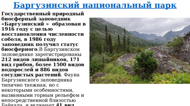 Баргузинский национальный парк Государственный природный биосферный заповедник «Баргузинский » образован в 1916 году с целью восстановления численности соболя, в 1986 году заповедник получил статус биосферного .В Баргузинском заповеднике зарегистрированы 212 видов лишайников, 171 вид грибов, более 1500 видов водорослей и 886 видов сосудистых растений . Фауна Баргузинского заповедника типично таежная, но с некоторыми особенностями, вызванными горным рельефом и непосредственной близостью Байкала, и включает 41 вид млекопитающих, 274 вида птиц, 6 видов рептилий, 3 амфибий, около 50 видов рыб и свыше 1200 выявленных видов насекомых .