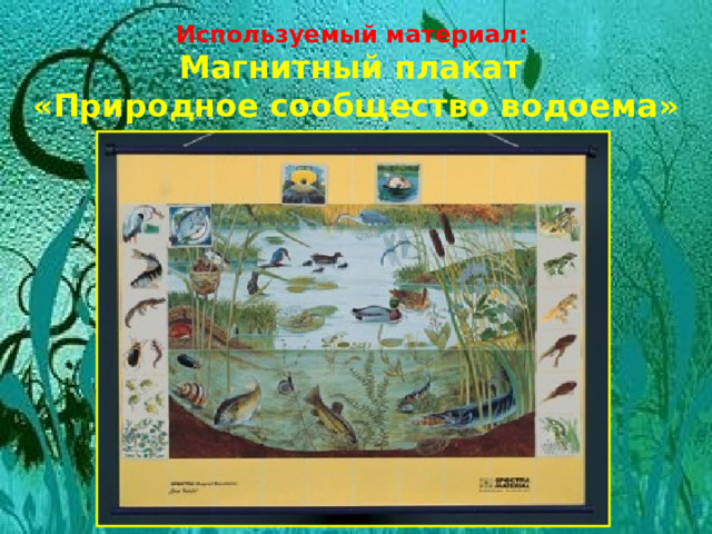 Используемый материал: Магнитный плакат «Природное сообщество водоема»