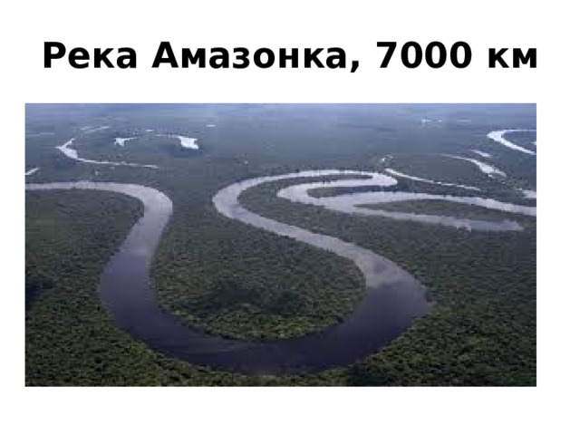 Река Амазонка, 7000 км