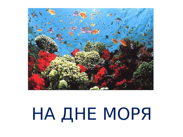 НА ДНЕ МОРЯ