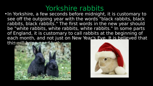 Yorkshire rabbits