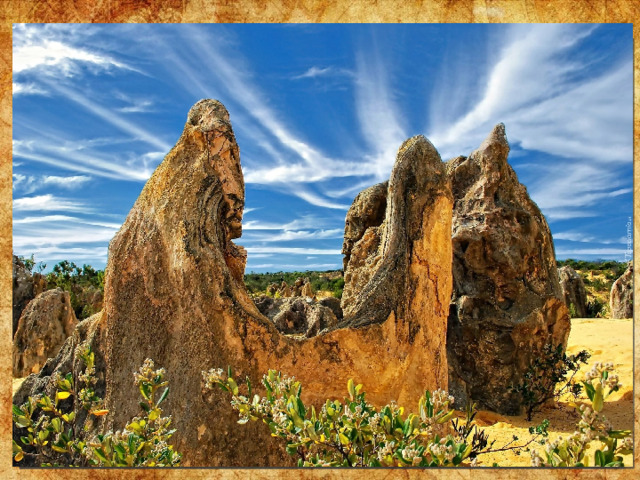 Пиннаклс – одно из самых интересных мест Австралии, один из самых знаменитых пейзажей континента. Пустыня Пиннаклс усеяна огромными известняковыми столбами, которые создают впечатление какого-то инопланетного ландшафта.