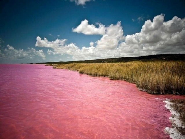 Розовое озеро Хилер – еще одно австралийское чудо. Водоем спрятан на острове Средний, что находится в архипелаге Речерч. Загадка озера, вернее, его ярко-розовой воды, не разгадана до сих пор.