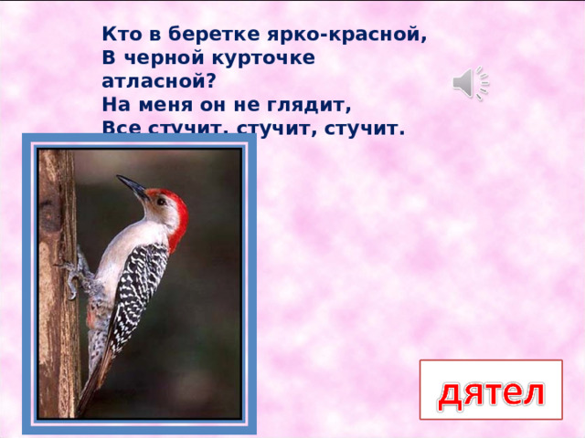 Кто в беретке ярко-красной,  В черной курточке атласной?  На меня он не глядит,  Все стучит, стучит, стучит.