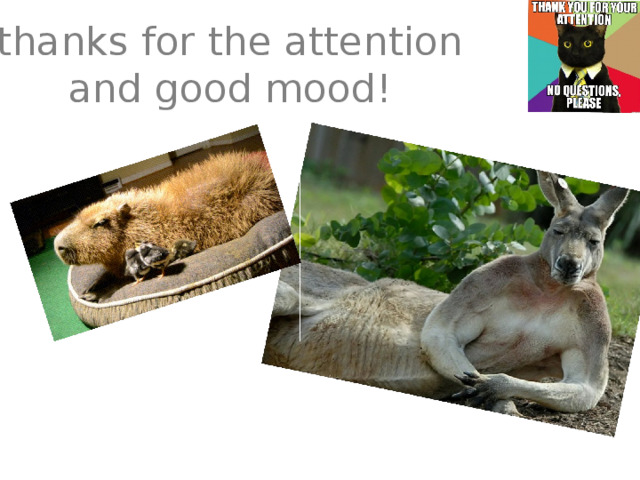 thanks for the attention and good mood!