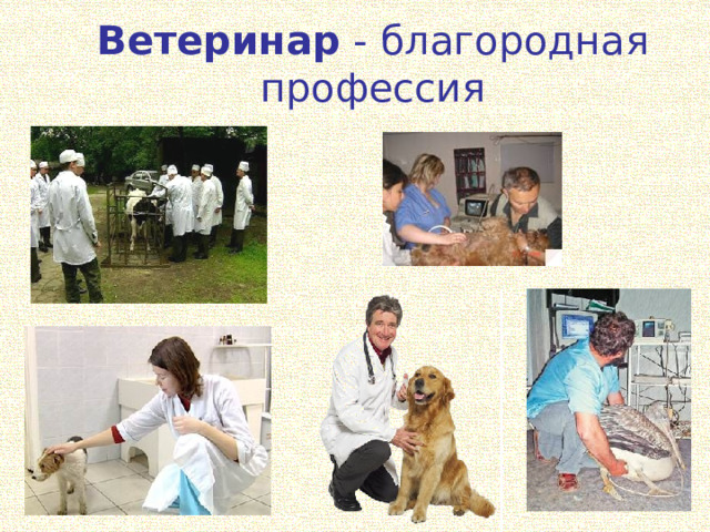 Ветеринар - благородная профессия