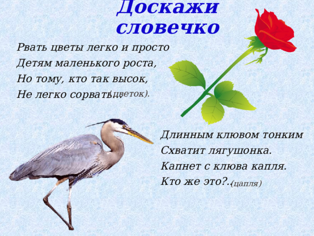 Доскажи словечко Рвать цветы легко и просто Детям маленького роста, Но тому, кто так высок, Не легко сорвать… ( цветок). Длинным клювом тонким Схватит лягушонка. Капнет с клюва капля. Кто же это?.. (цапля)