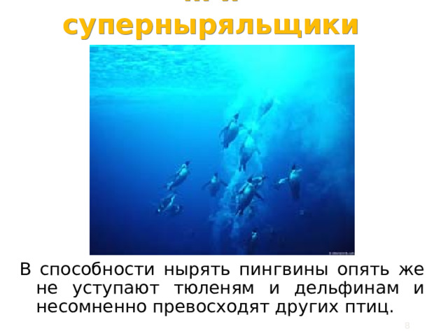 … и суперныряльщики В способности нырять пингвины опять же не уступают тюленям и дельфинам и несомненно превосходят других птиц.