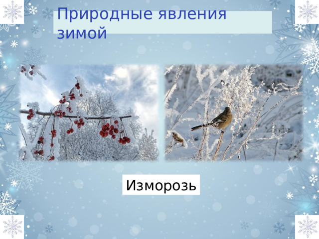 Природные явления зимой Изморозь