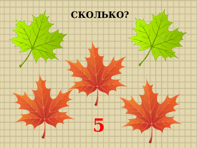 СКОЛЬКО? 5