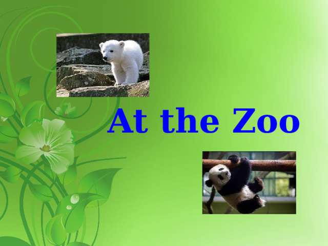 At the Zoo