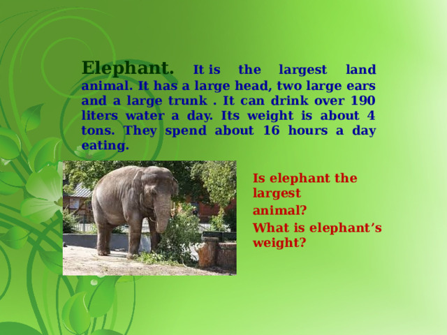 Elephant.  It is the largest land animal. It has a large head, two large ears and a large trunk . It can drink over 190 liters water a day. Its weight is about 4 tons. They spend about 16 hours a day eating.   Is elephant the largest animal? What is elephant’s weight?