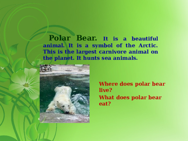 Polar Bear. It is a beautiful animal. It is a symbol of the Arctic. This is the largest carnivore animal on the planet. It hunts sea animals. Where does polar bear live? What does polar bear eat?