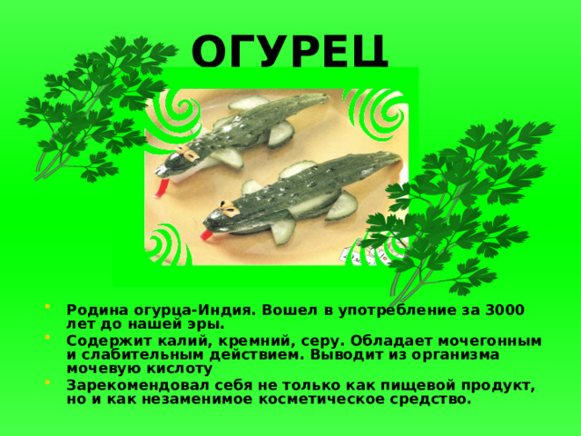 ОГУРЕЦ