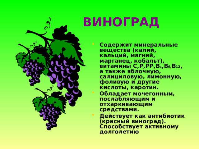 ВИНОГРАД