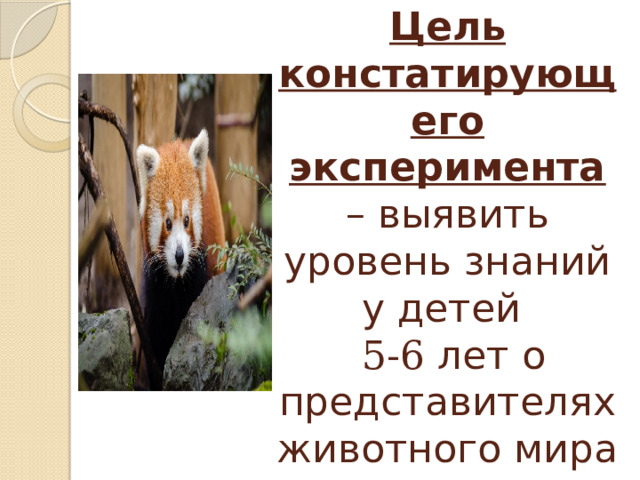 Цель констатирующего эксперимента – выявить уровень знаний у детей   5-6 лет о представителях животного мира