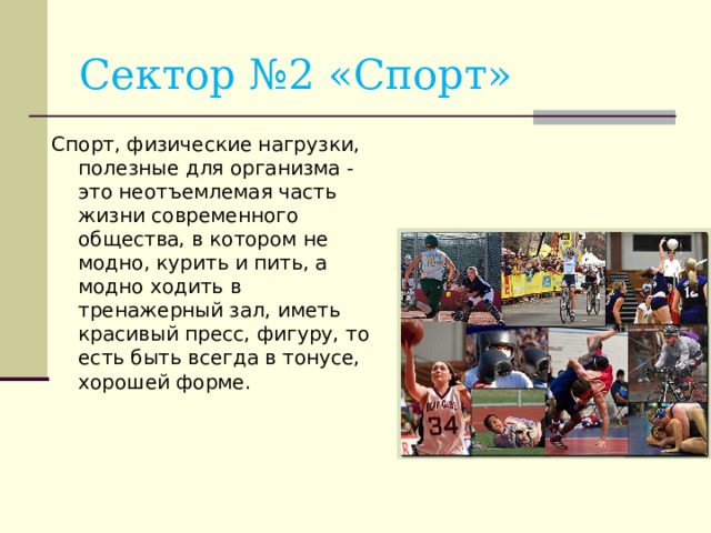 Сектор №2 «Спорт» Спорт, физические нагрузки, полезные для организма - это неотъемлемая часть жизни современного общества, в котором не модно, курить и пить, а модно ходить в тренажерный зал, иметь красивый пресс, фигуру, то есть быть всегда в тонусе, хорошей форме.