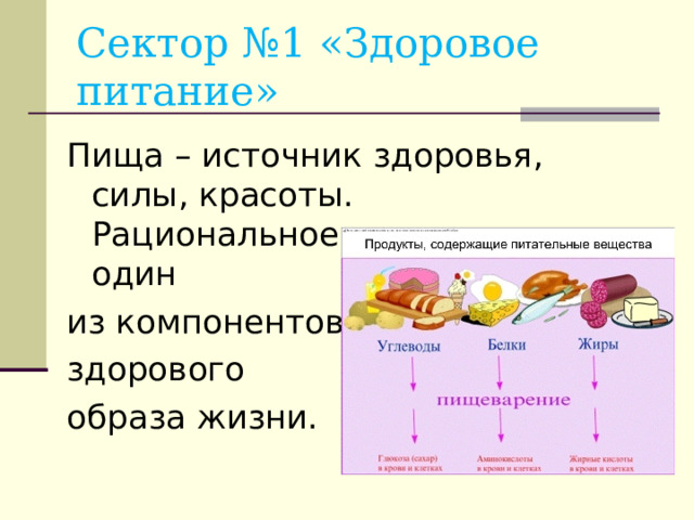 Сектор №1 «Здоровое питание» Пища – источник здоровья, силы, красоты. Рациональное питание – один из компонентов здорового образа жизни.