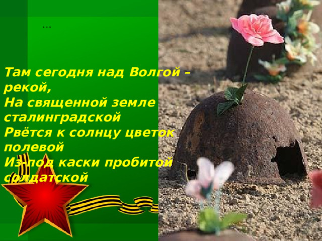 … Там сегодня над Волгой – рекой,  На священной земле сталинградской  Рвётся к солнцу цветок полевой  Из-под каски пробитой солдатской