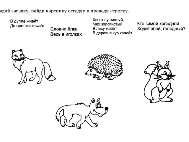 Отгадай загадку, найди картинку отгадку и проведи стрелку.