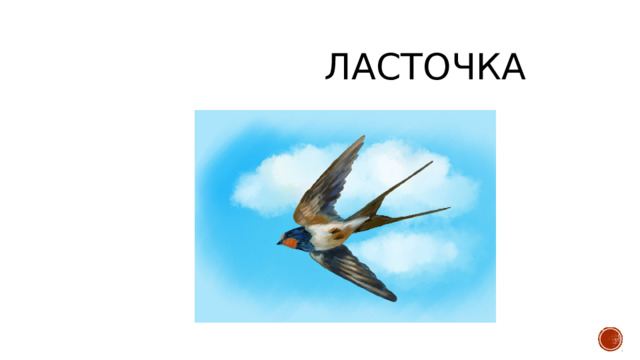 ласточка