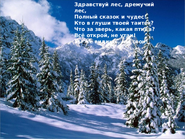 Здравствуй лес, дремучий лес, Полный сказок и чудес! Кто в глуши твоей таится? Что за зверь, какая птица? Всё открой, не утаи! Ты же видишь, мы свои!