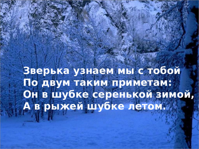 Зверька узнаем мы с тобой По двум таким приметам: Он в шубке серенькой зимой, А в рыжей шубке летом.