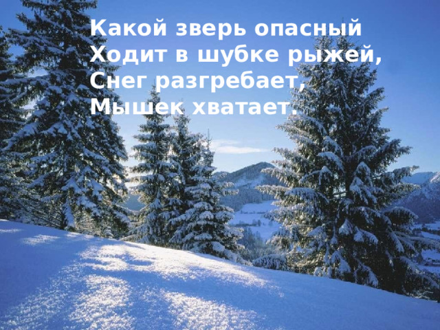 Какой зверь опасный Ходит в шубке рыжей, Снег разгребает, Мышек хватает.