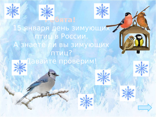 Ребята! 15 января день зимующих птиц в России. А знаете ли вы зимующих птиц? Давайте проверим!