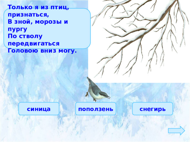 Только я из птиц, признаться, В зной, морозы и пургу По стволу передвигаться Головою вниз могу. синица снегирь поползень