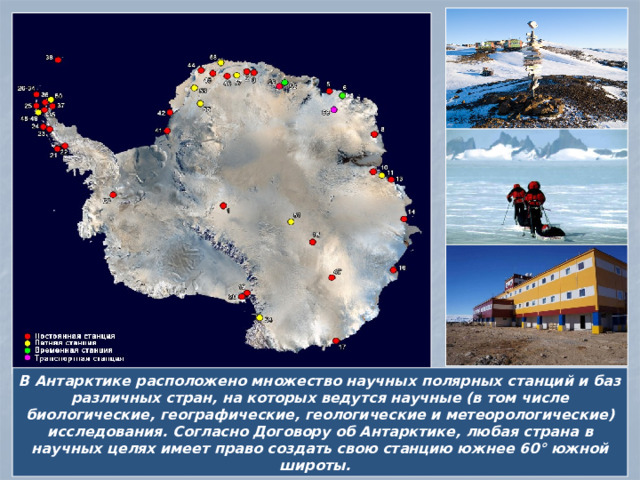 В Антарктике расположено множество научных полярных станций и баз различных стран, на которых ведутся научные (в том числе биологические, географические, геологические и метеорологические) исследования. Согласно Договору об Антарктике, любая страна в научных целях имеет право создать свою станцию южнее 60° южной широты. 