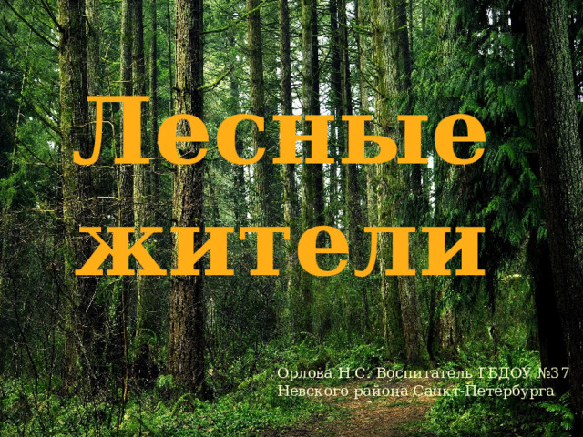 Лесные жители Орлова Н.С. Воспитатель ГБДОУ №37 Невского района Санкт-Петербурга