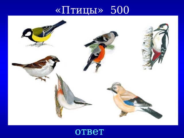 «Птицы» 500 ответ